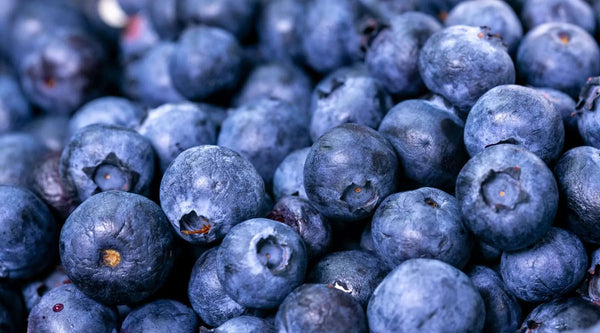 The 10 Best Foods for Muscle Recovery